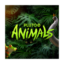 Pluto TV Animals logo