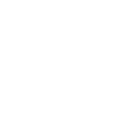 Record News logo