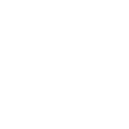 Boomerang logo