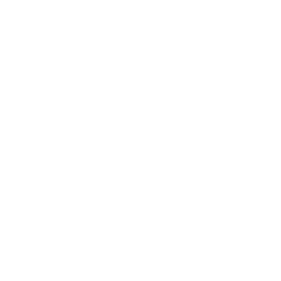 Murdoch Mysteries logo