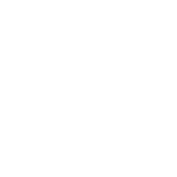 Insight logo