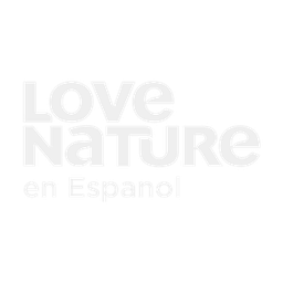 Love Nature Spanish logo