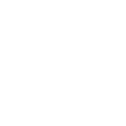 Paranormal Chronicles