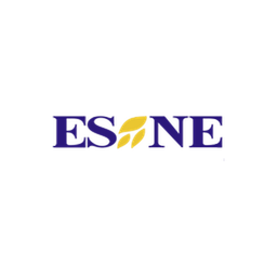 Canal ESNE TV logo