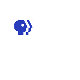 PBS Travel logo