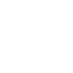Strangely Addicting logo