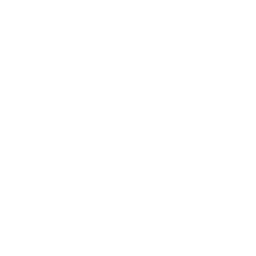 Vedic TV logo