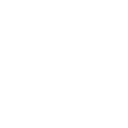 Life Down Under logo