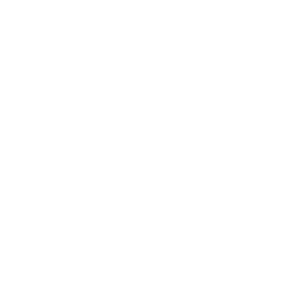 Tampa Bay Rays logo