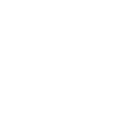 Fox News Pilot logo