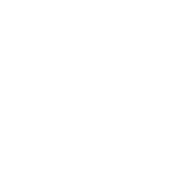 Bondi Vet logo