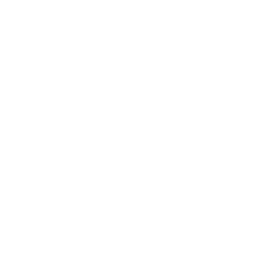 SEC Network logo