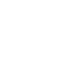 WJRT (ABC) News 12 Flint, MI logo