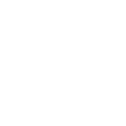 I Survived… logo