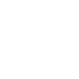 Animation+