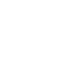 TV One logo