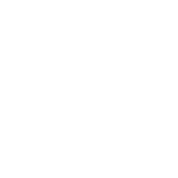 Great Wall Elite logo