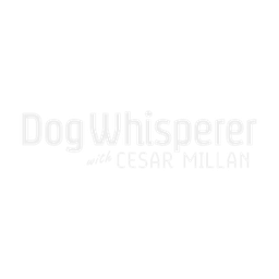 Dog Whisperer With Cesar Millan logo