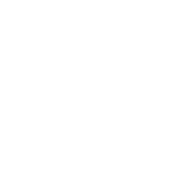 Triton Poker logo