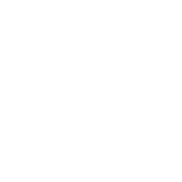 JUST IN logo