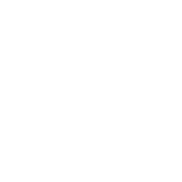 MTV India logo