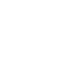 ARY News logo