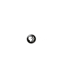 PBS America logo