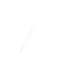 New York Yankees logo