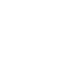 Miami Heat logo