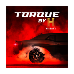 Torque logo