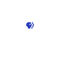 PBS Antiques Roadshow logo