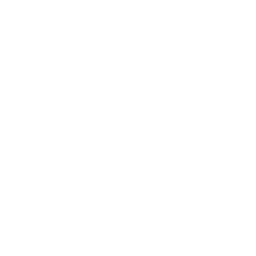 Lucky Dog
