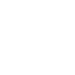 Car Chase logo