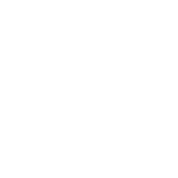 Nour Al Shabab logo