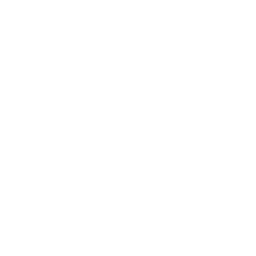 Washington Wizards logo