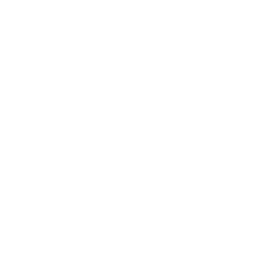 WSOC (ABC) News 9 Charlotte, NC logo