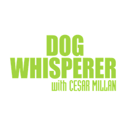 The Dog Whisperer with Caesar Millan logo