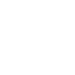 CBS News Texas logo