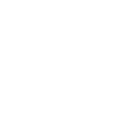 I Survived... logo