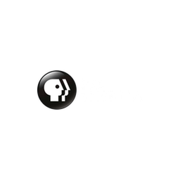 PBS AMERICA UK