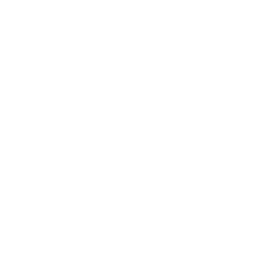 Everyday logo