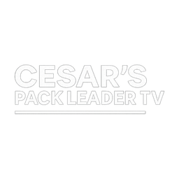 Cesar's Pack Leader TV logo
