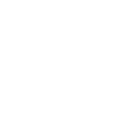 USA logo