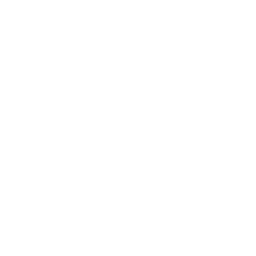 Paranormal Chronicles