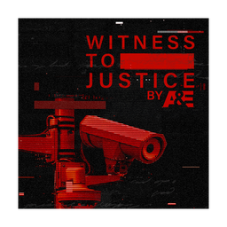 Witness to Justice logo
