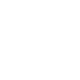 CBC New Brunswick logo