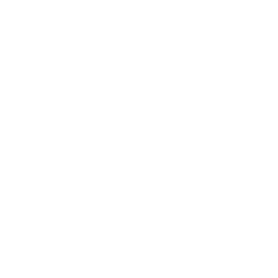 Showtime 2 logo