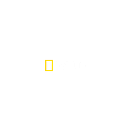 Nat Geo Wild logo