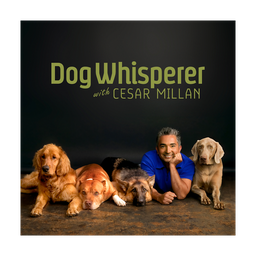 Dog Whisperer logo