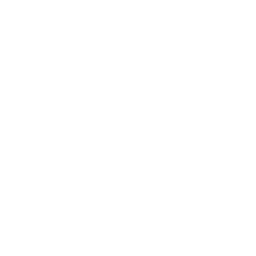 WVUE FOX 8 New Orleans LA logo